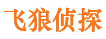 道里婚外情调查取证